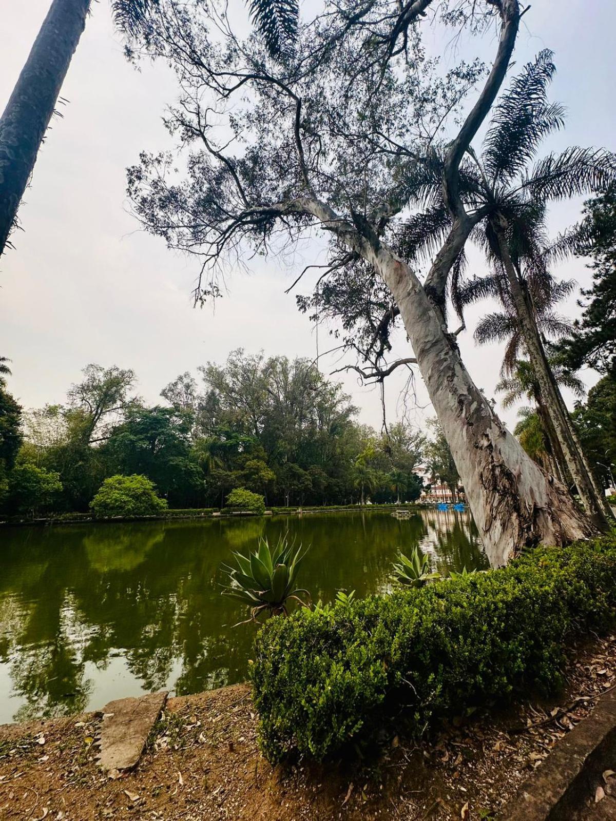 Apartamento Condominio Quisisana Centro Pocos De Caldas Lazer Completo, Uma Estrutura De Resort Poços de Caldas Exterior foto